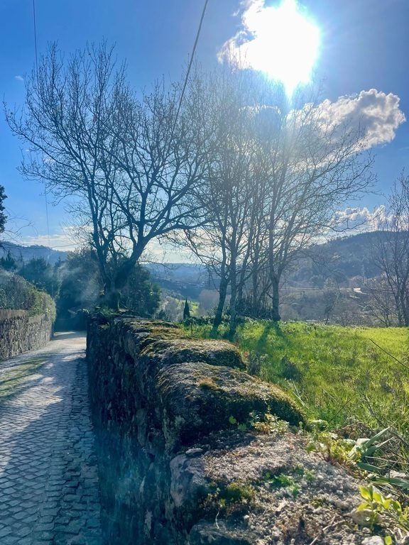 Omgeving rondom het appartement 