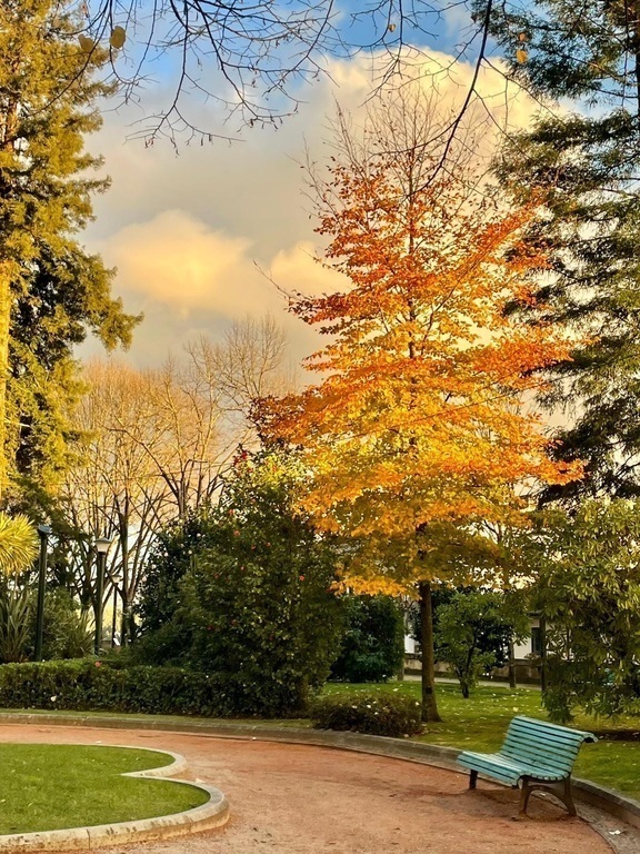 Charmante centrum van Fafe - stadspark herfstkleuren 