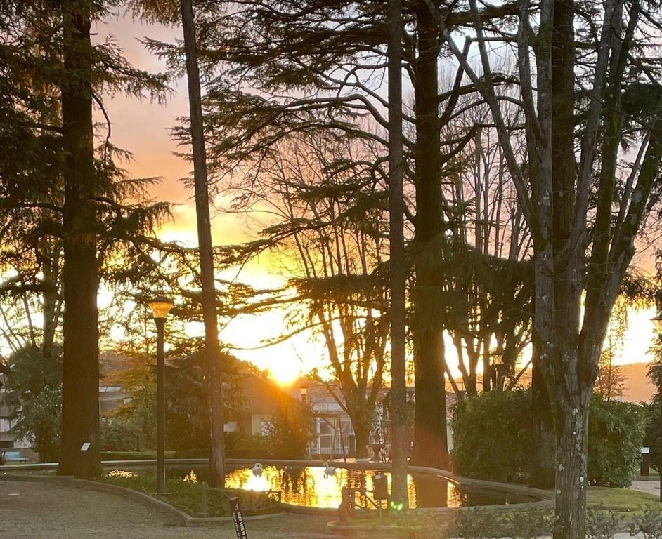 Charmante centrum van Fafe - stadspark herfst 
