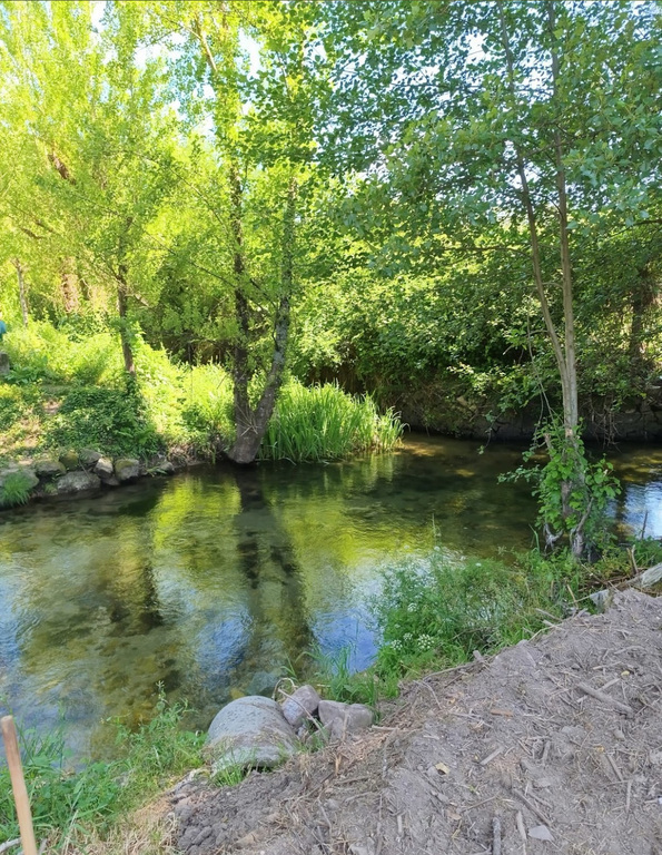 Omgeving rondom het appartement 