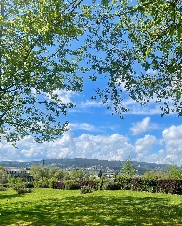 Omgeving rondom het appartement 