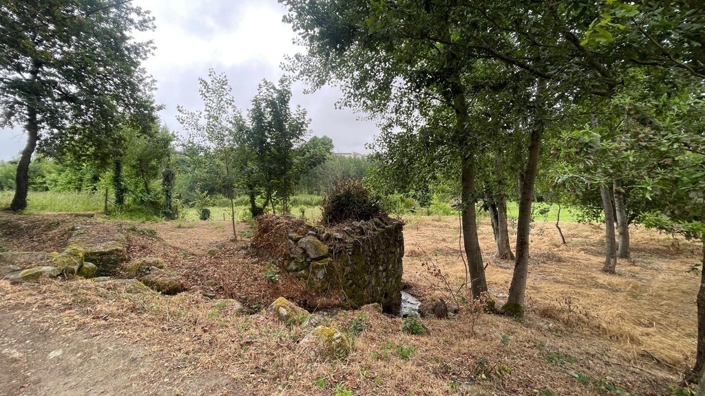 Omgeving rondom het appartement 