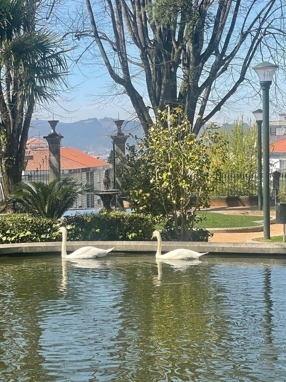 Charmante centrum van Fafe - stadspark 