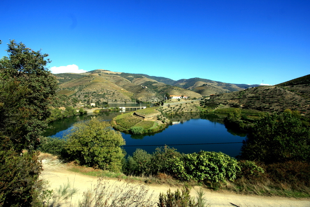 Douro Valley - Tedo