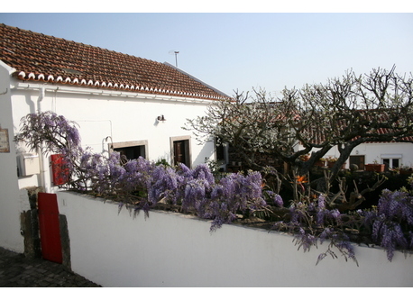 House Outside View