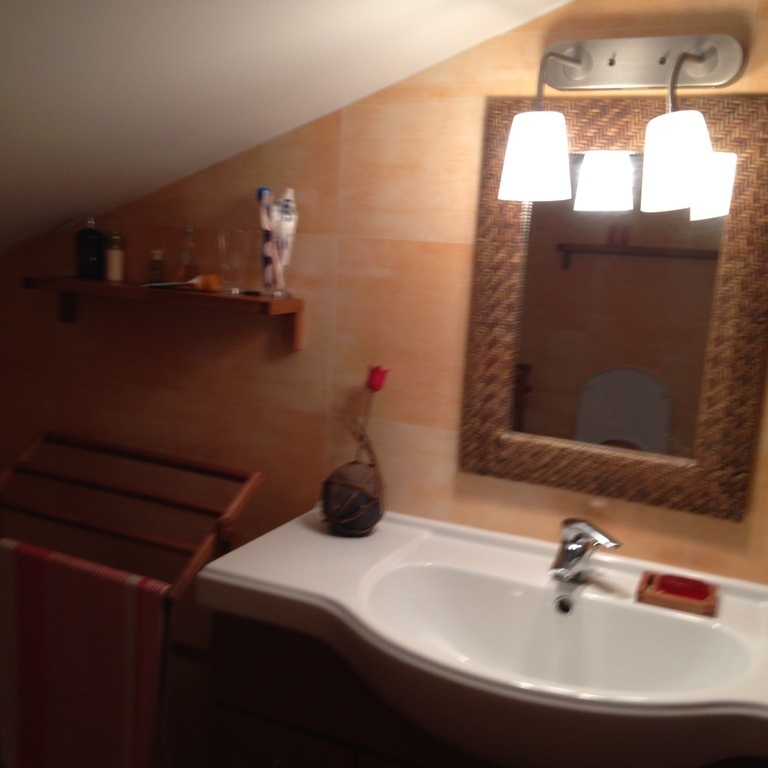 Second bathroom, upstairs in the loft.