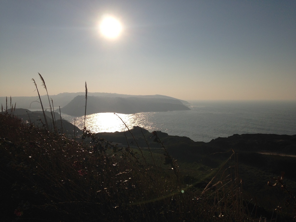 The view from the garden of the condominium