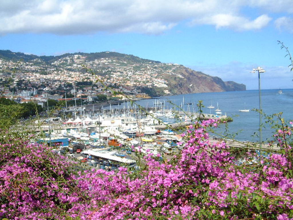 Funchal Bay