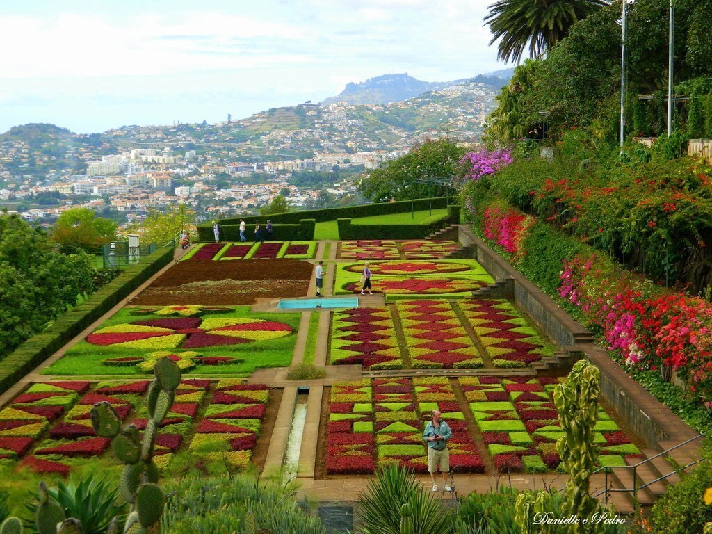 Jardim Botânico (A garden that must be visited)