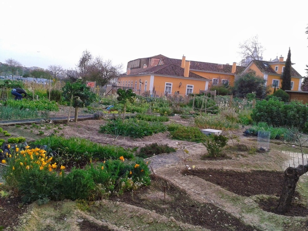 hortas comunitárias