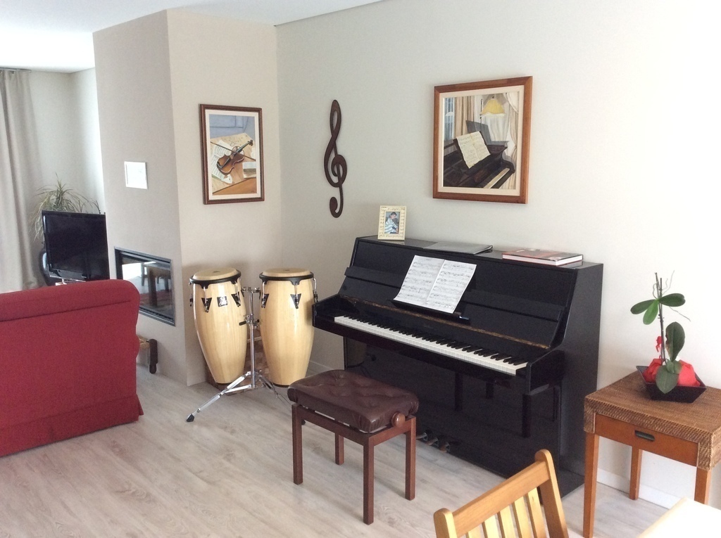 Music area (living room)