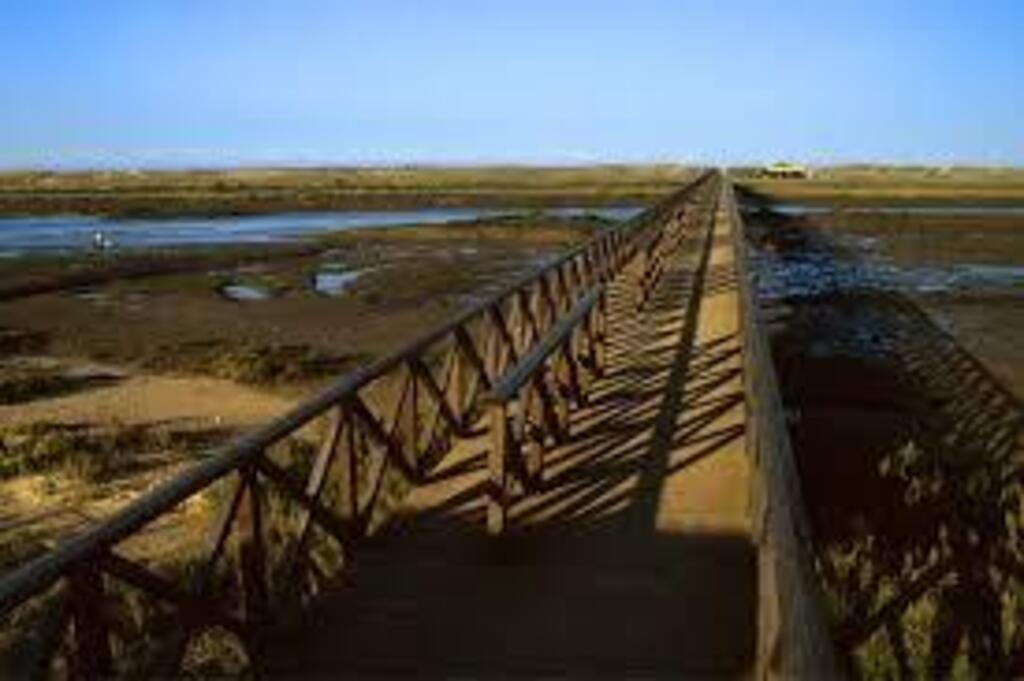 wooden walkways in Ria Formosa Natural Park