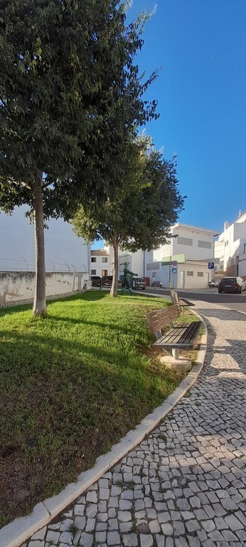 mexilhoeira grande 3