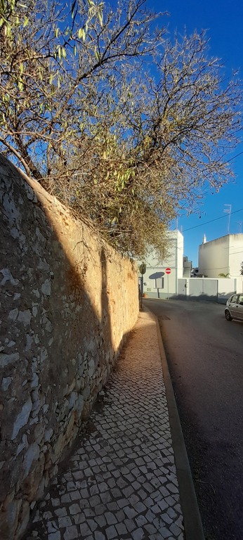 mexilhoeira grande 9