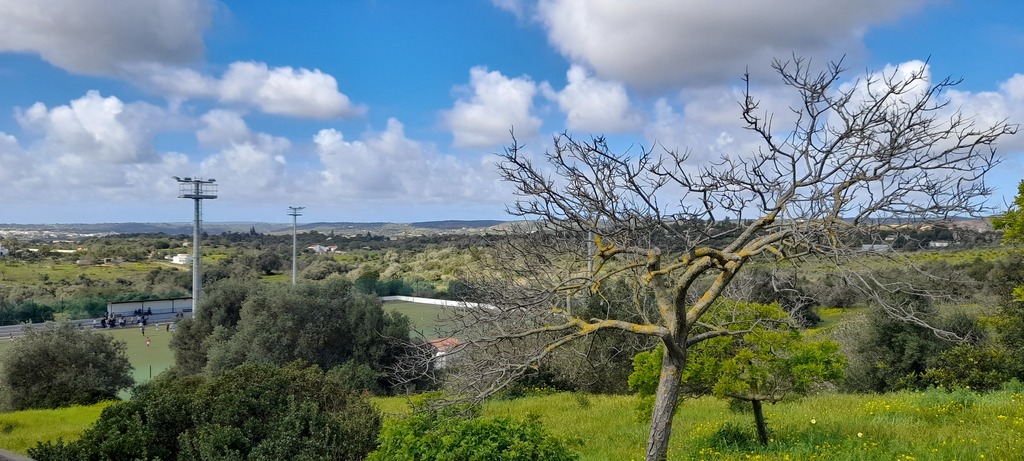 country side mexilhoeira