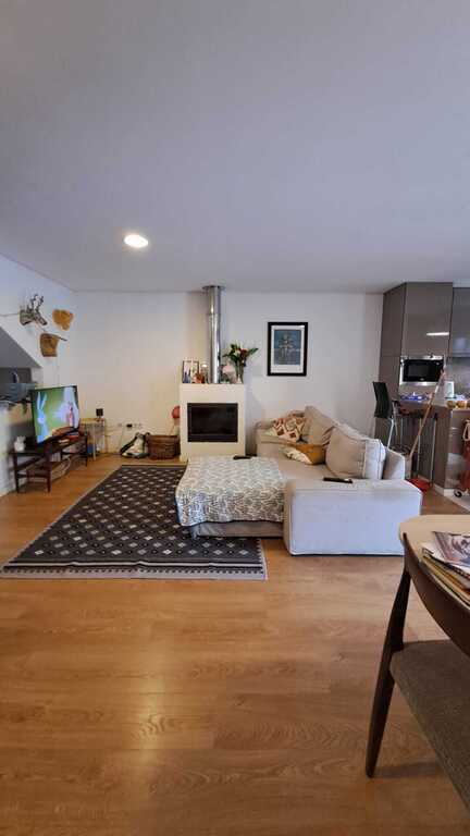 Living room and kitchen