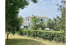 Our home, taken from the orchard