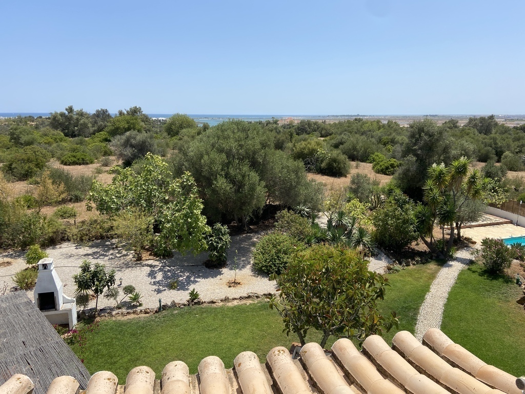 Looking south from our rooftop patio to the Atlantic Ocean 600m away. 