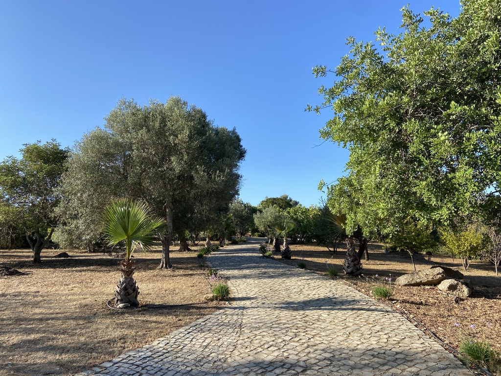 Driveway from gate to house
