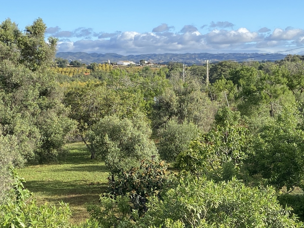 Looking north into the hills from our rooftop patio