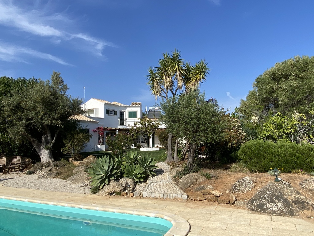 Back garden from pool