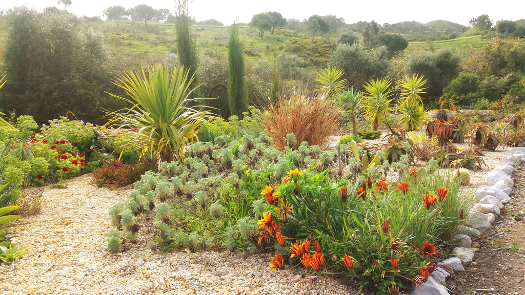 Mediterraner Garten/ Mediterranean garden