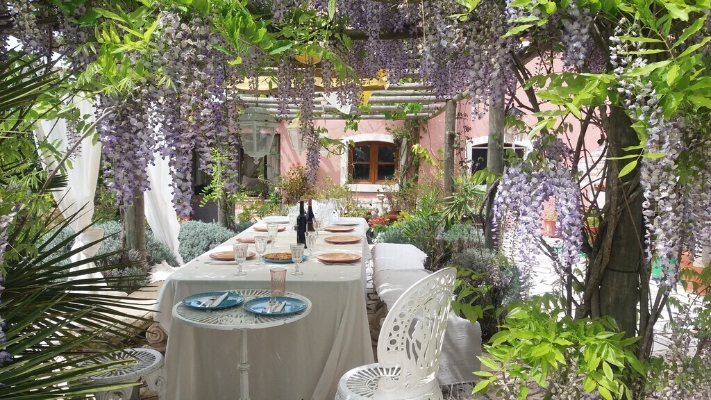Hintere Terrasse mit Pergola und Glyzinien und Wein- Patio in the back with wisteria and vine on a wooden pergola