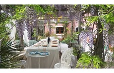 Hintere Terrasse mit Pergola und Glyzinien und Wein- Patio in the back with wisteria and vine on a wooden pergola