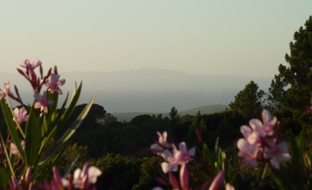 Blick zur Küste von Lissabon /View to the coast of Lisbon
