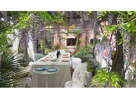 Hintere Terrasse mit Pergola und Glyzinien und Wein- Patio in the back with wisteria and vine on a wooden pergola
