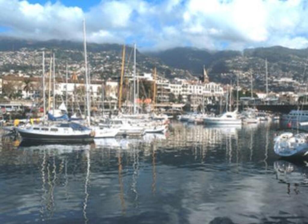 Marina in Funchal