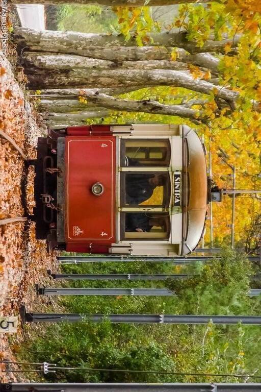 Sintra tram uses classic 1930 brill trams, which slowly trundle down 13 km from Sintra to pretty coastal town Praia das Maçãs.
