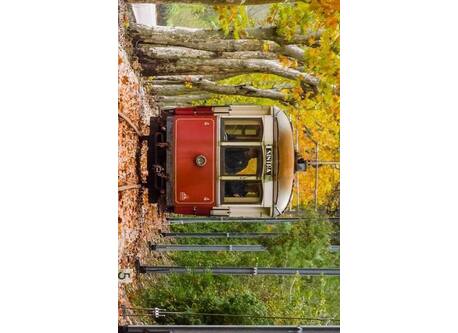 Sintra tram uses classic 1930 brill trams, which slowly trundle down 13 km from Sintra to pretty coastal town Praia das Maçãs.