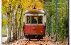 Sintra tram uses classic 1930 brill trams, which slowly trundle down 13 km from Sintra to pretty coastal town Praia das Maçãs.