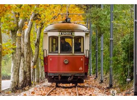 Sintra tram uses classic 1930 brill trams, which slowly trundle down 13 km from Sintra to pretty coastal town Praia das Maçãs.