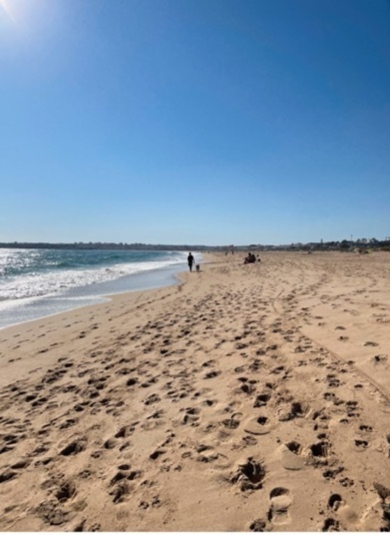 One of 100 beaches in Algarve