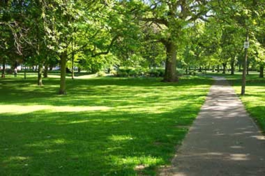 Bazilescu Park- 10 minutes walking