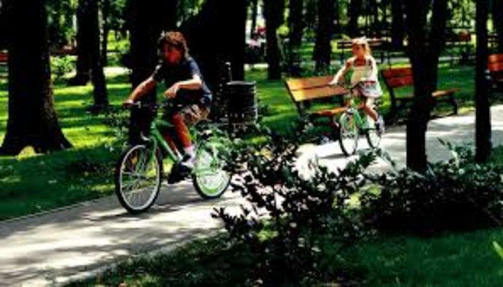 Bazilescu Park-near home