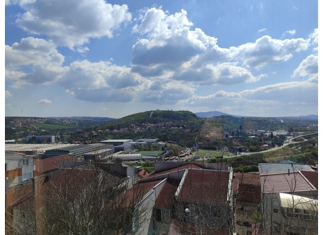 the view