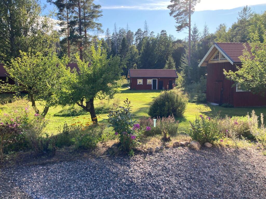 vegetable garden in front of "Mom's House"