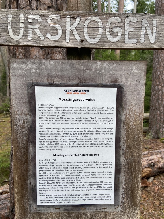 About the forest around the house