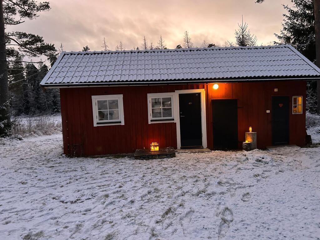 Christmas 2025 photo 2