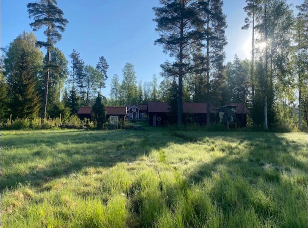 Our "backyard" at Bjornkalla