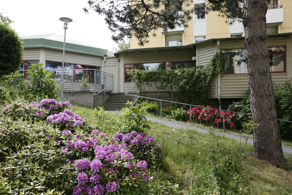 Trädgården på baksidan