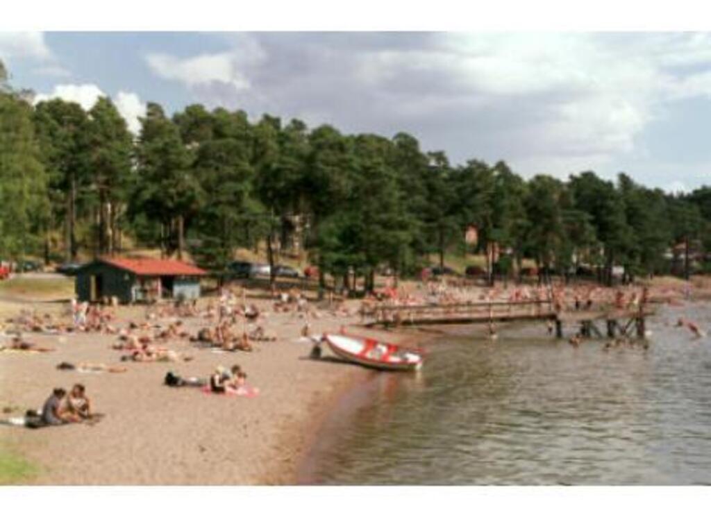 How about a swim in Lake Mälaren