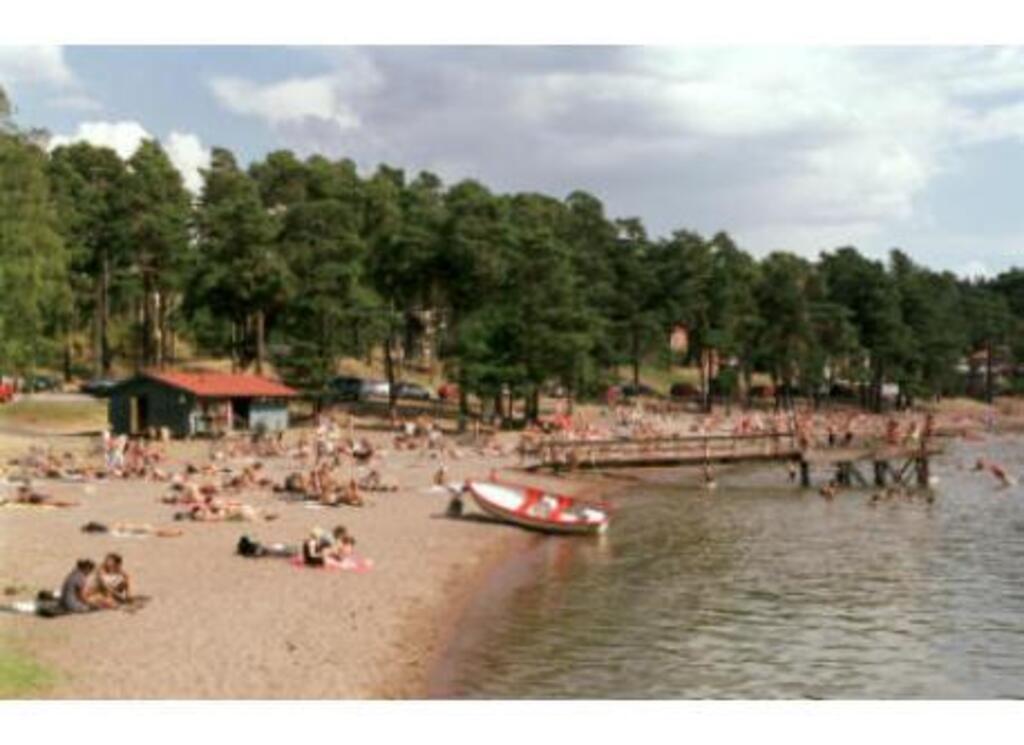 How about a swim in Lake Mälaren