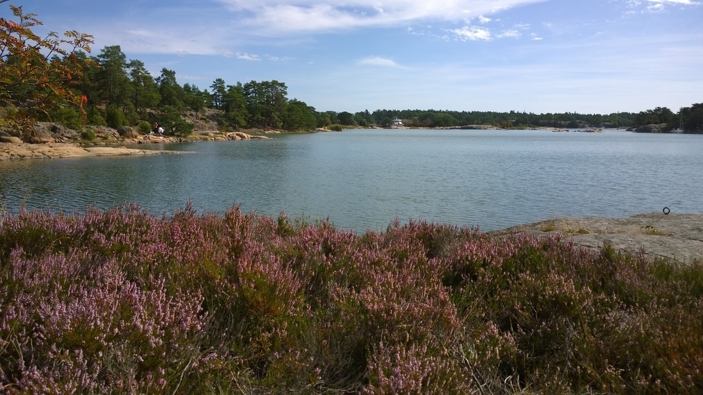 Stendörren- 1 hour drive by car - nature reserve in the Baltic Sea archipelago.