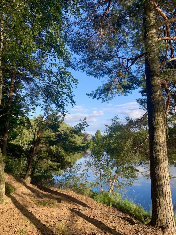 Public and free nature for everyone to use, hiking, camping