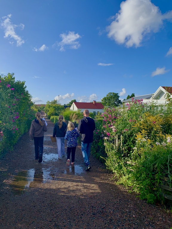 Idyllic cottage area by the sea, 5 min walk from our home.