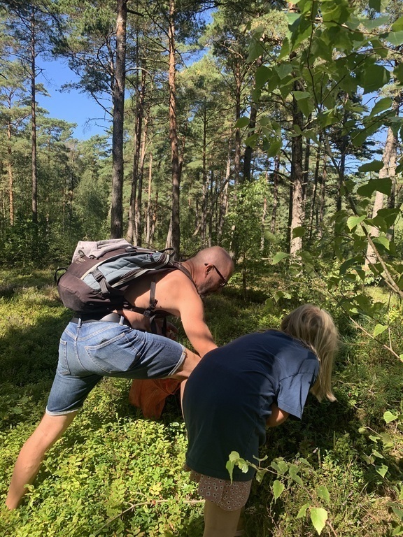 We are picking berries in forest